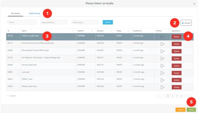 Audio Element in Timeline