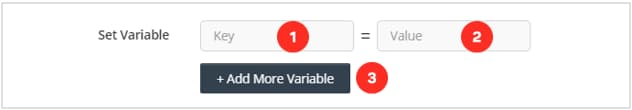Assign Variables