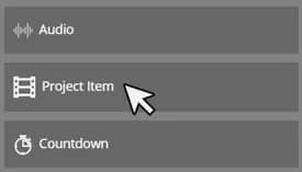 Project item element in editor
